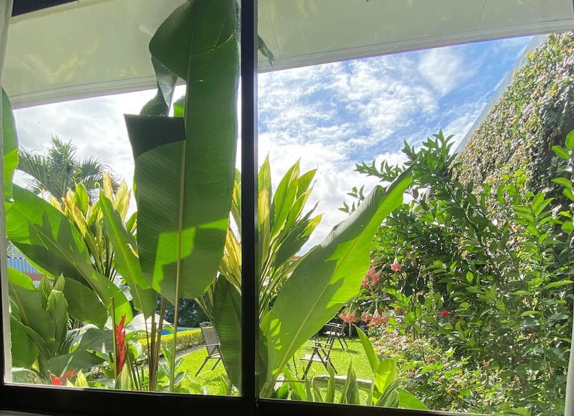 Outdoor view Photo
