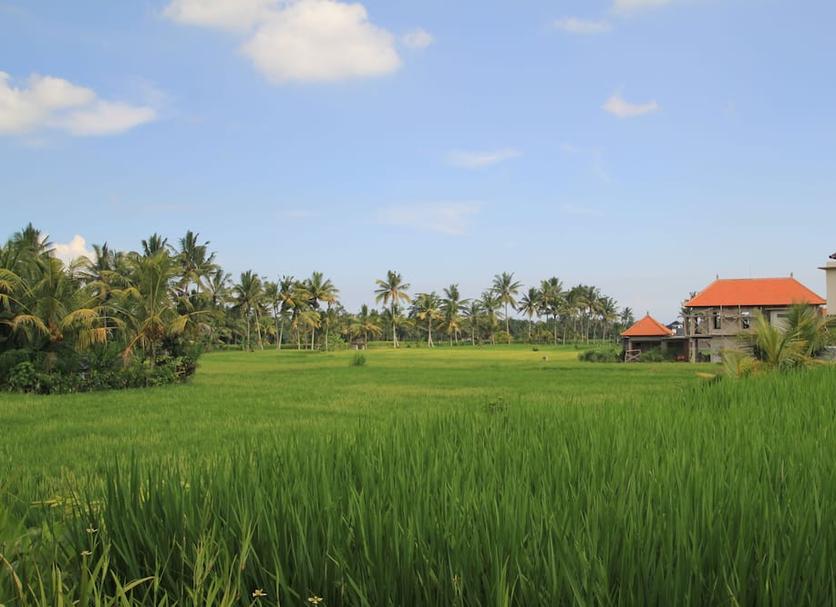 Outdoor view Photo