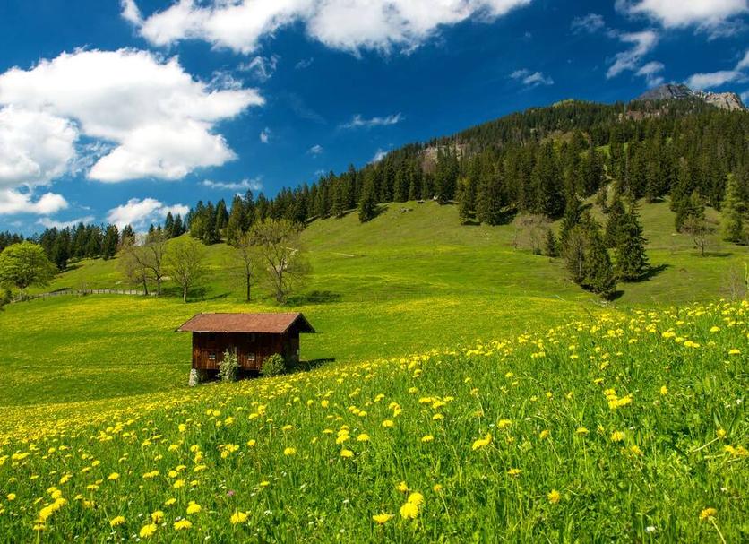 Outdoor view Photo