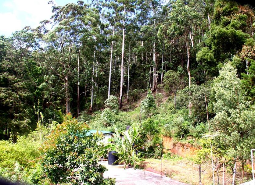 Outdoor view Photo