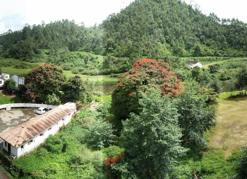 Outdoor view Photo