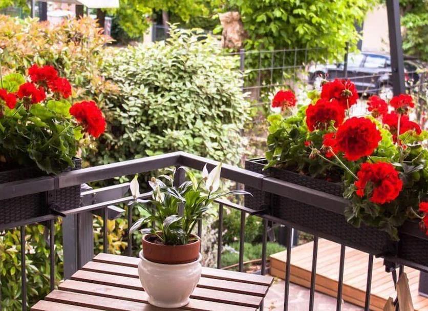 Balcony Photo