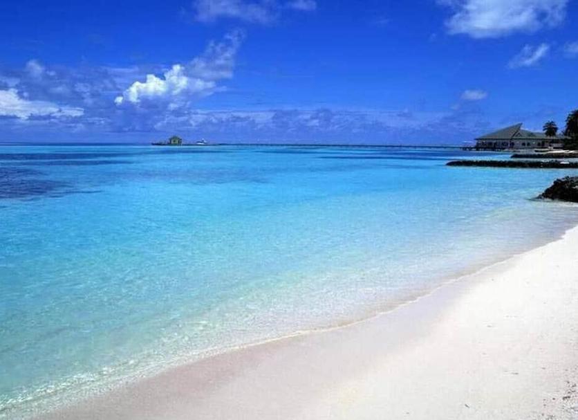 Beach Photo