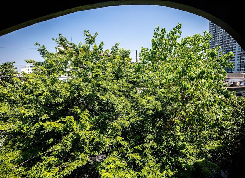 Outdoor view Photo