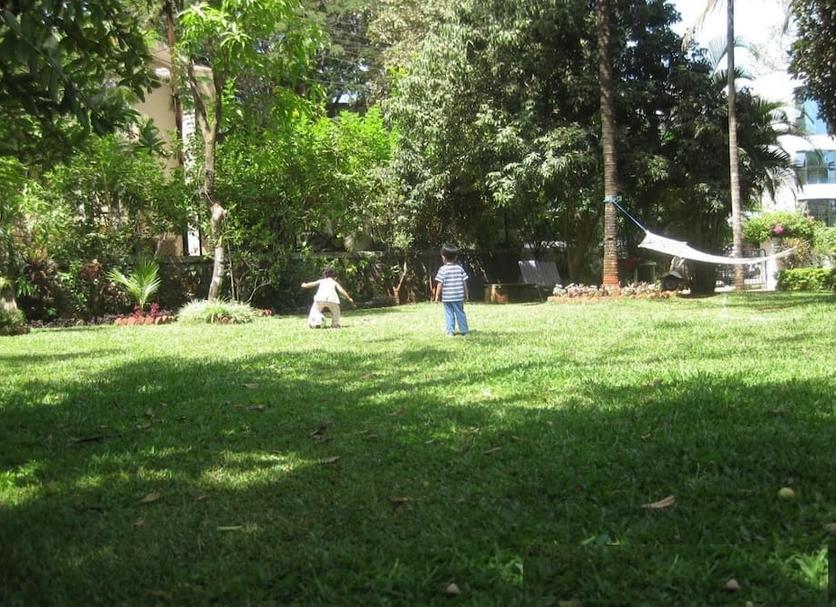 Other Photo