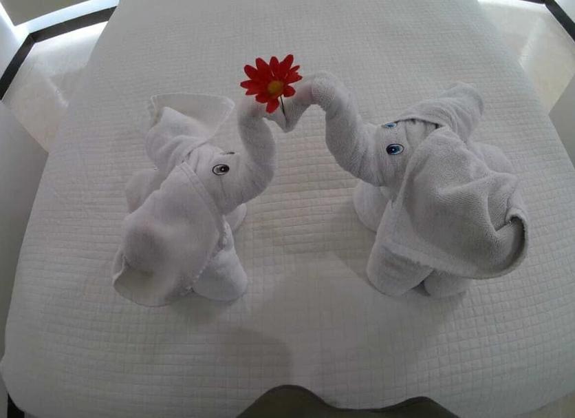 Room amenity Photo