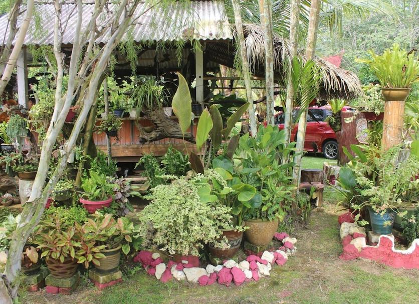 Outdoor view Photo