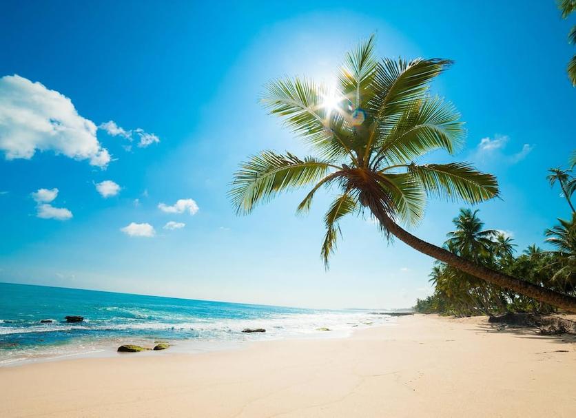 Beach Photo