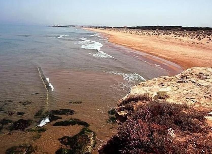 Beach Photo