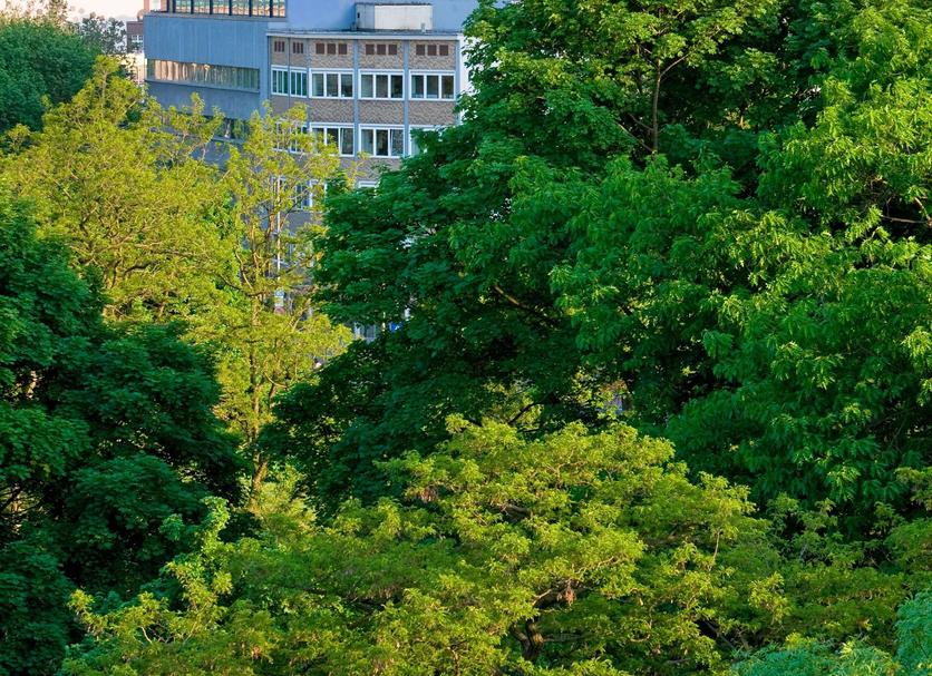 Outdoor view Photo