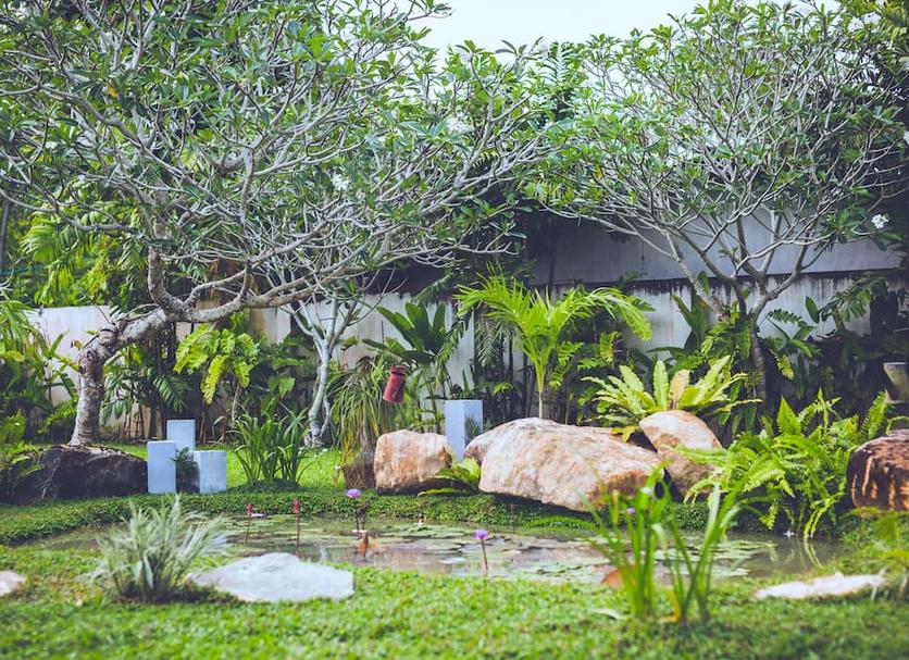 Outdoor view Photo