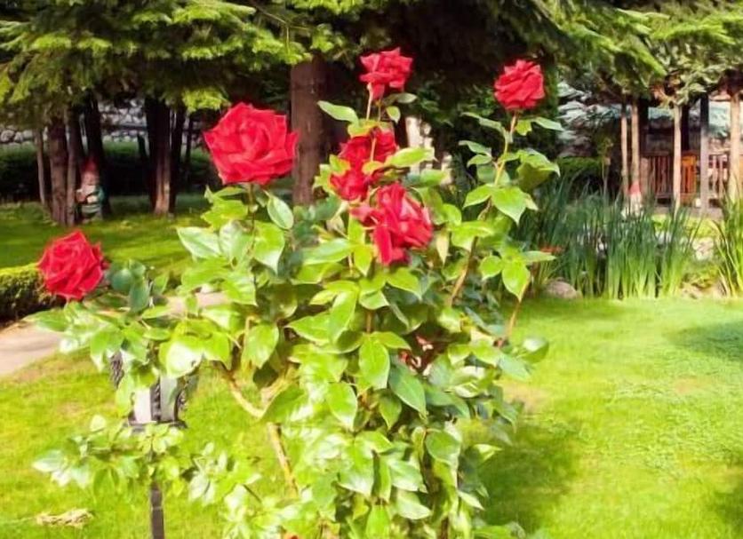 Outdoor view Photo