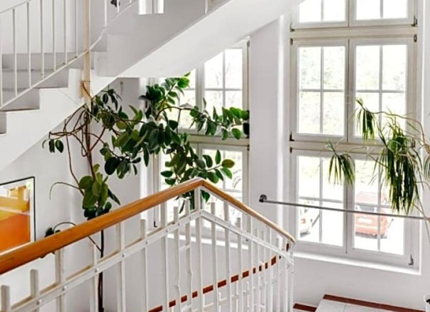 Stairs Photo