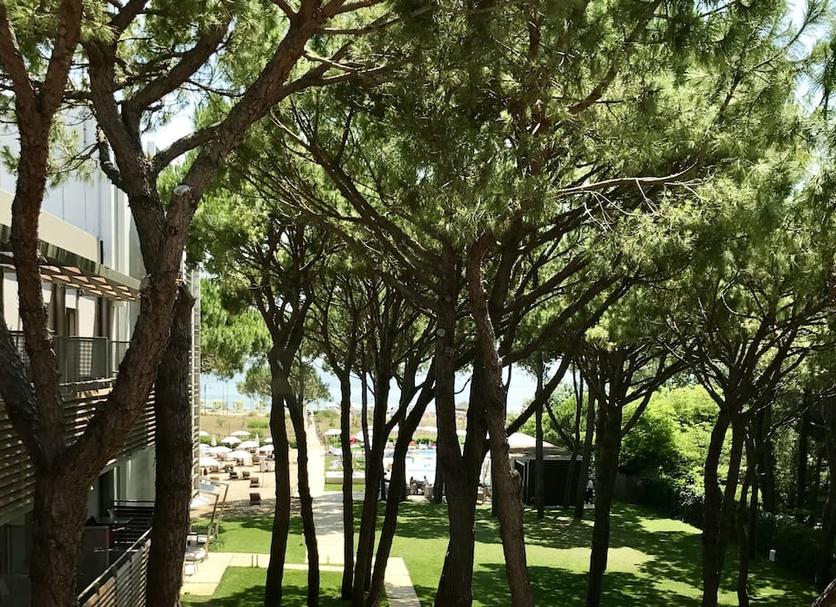 Outdoor view Photo