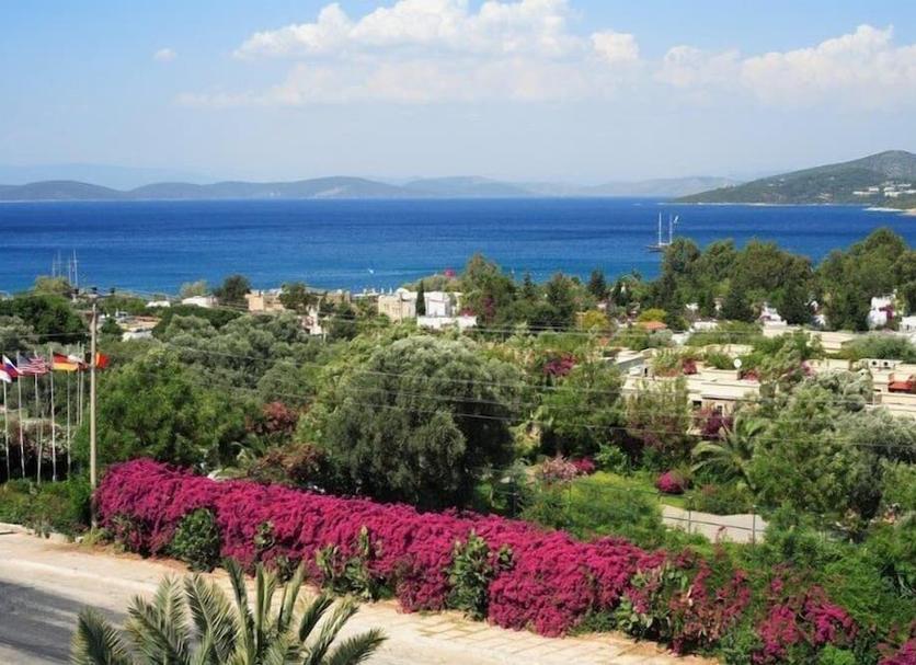 Outdoor view Photo