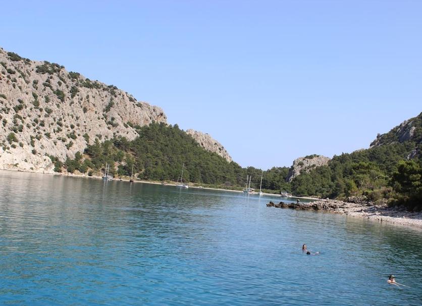 Other Photo