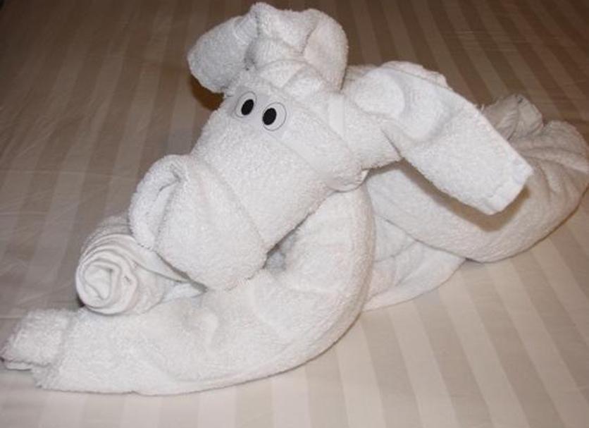 Room amenity Photo