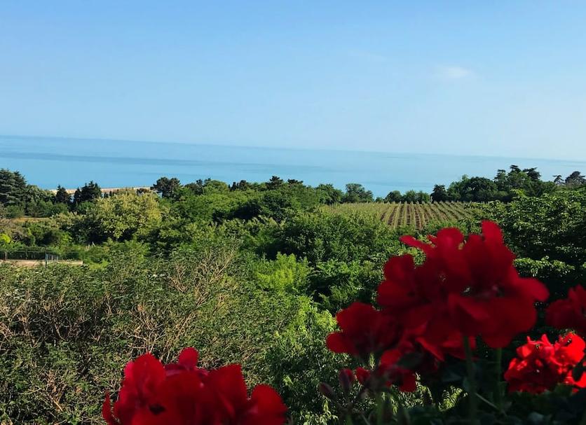 Outdoor view Photo