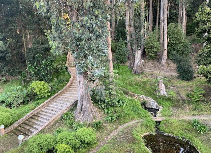 Outdoor view Photo
