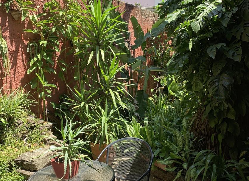 Patio Photo