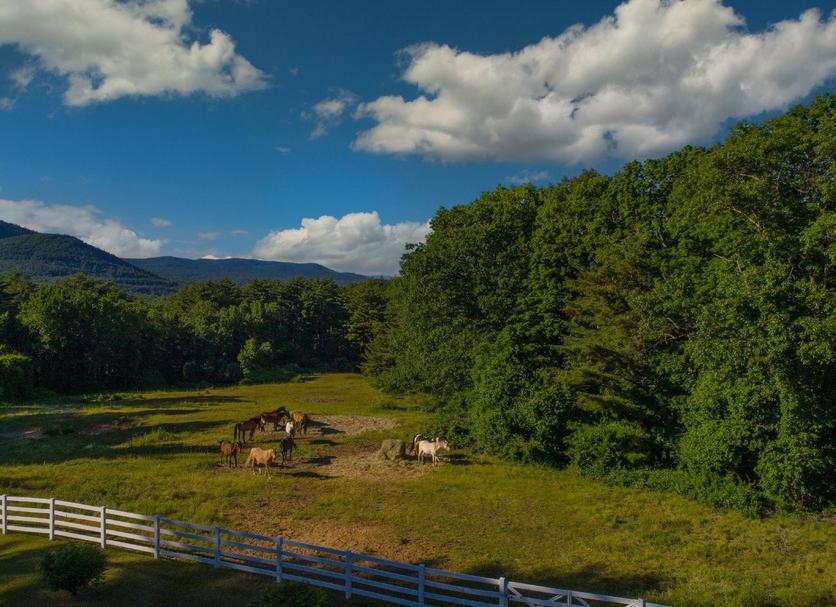 Outdoor view Photo