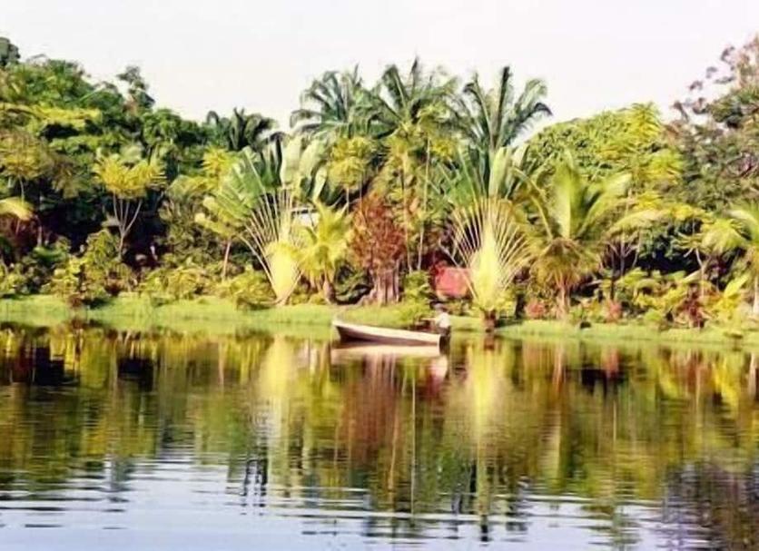 Outdoor view Photo