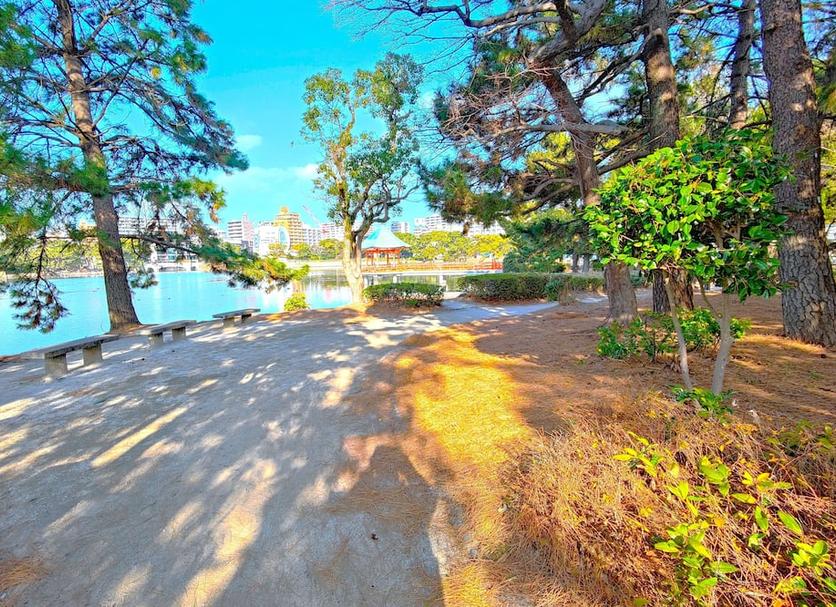 Outdoor view Photo