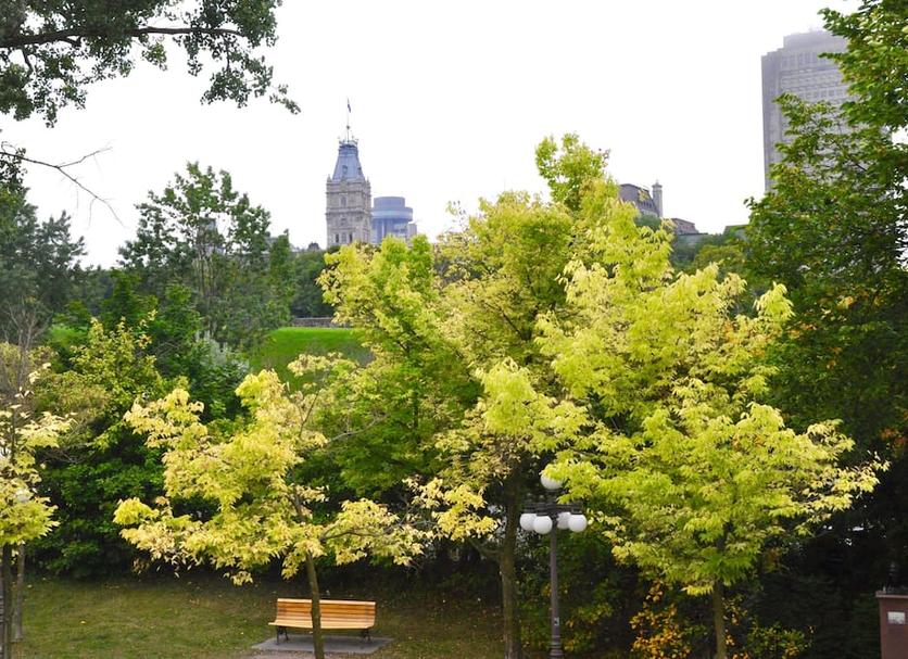 Outdoor view Photo