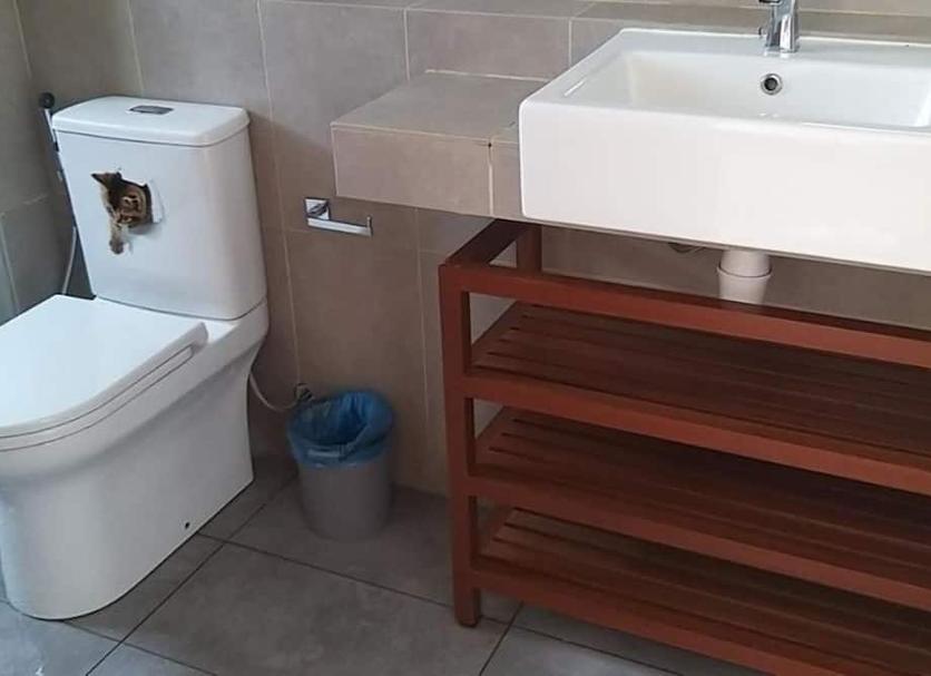Bathroom Photo
