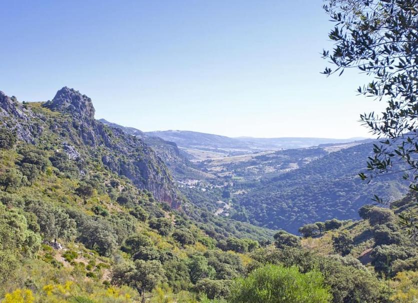 Outdoor view Photo