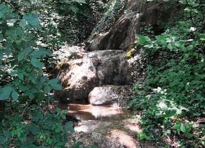 Other Photo