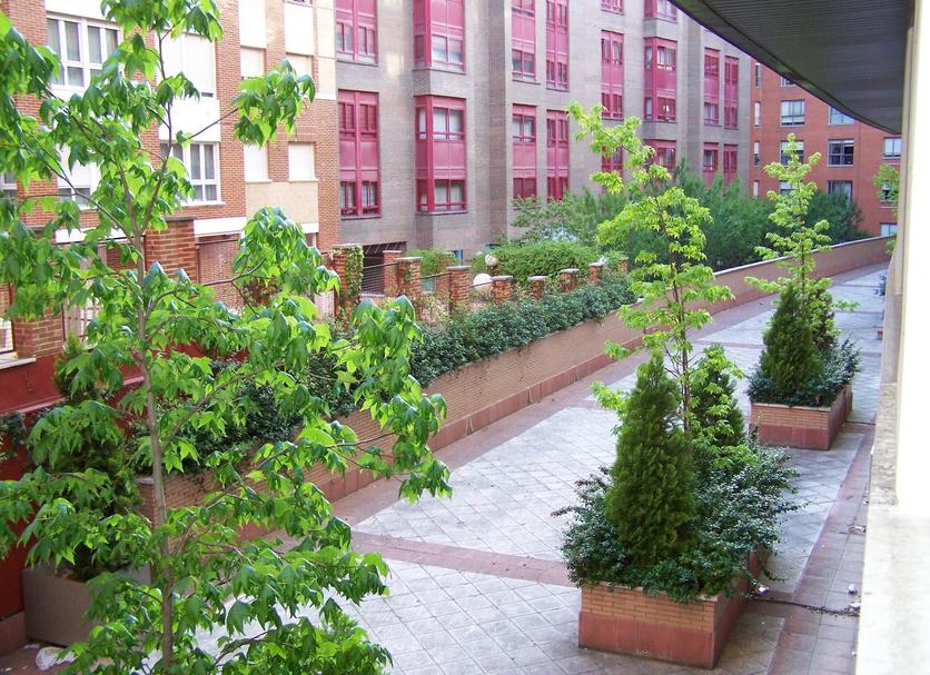 Outdoor view Photo