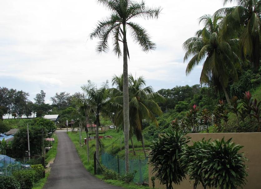 Outdoor view Photo