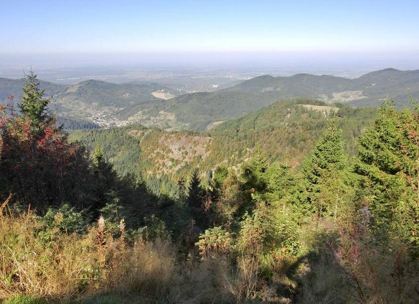 Outdoor view Photo