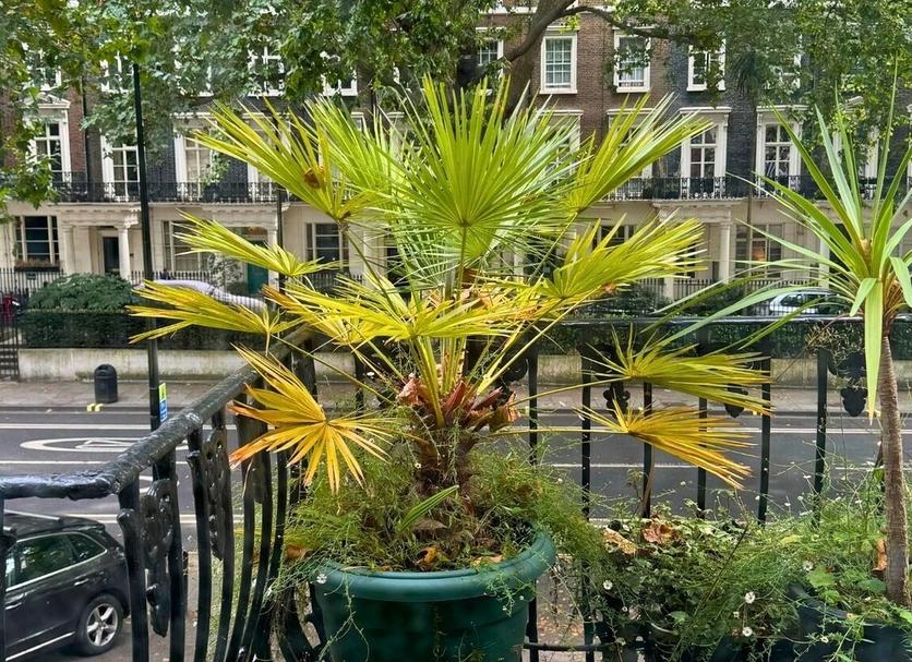 Outdoor view Photo