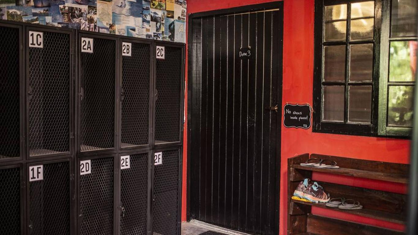 House of Lion Hostel