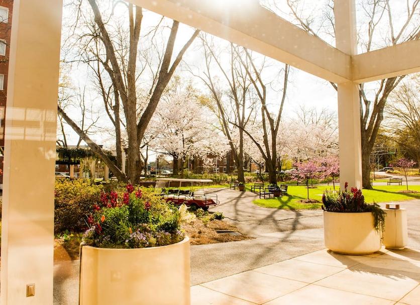 Outdoor view Photo