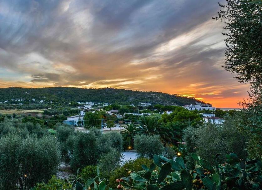 Outdoor view Photo