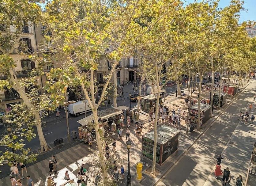 Outdoor view Photo