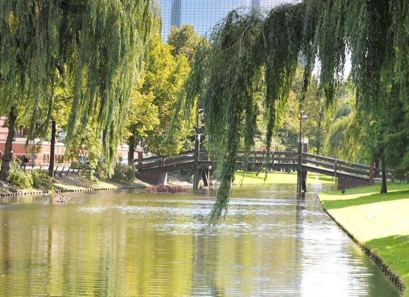 Outdoor view Photo