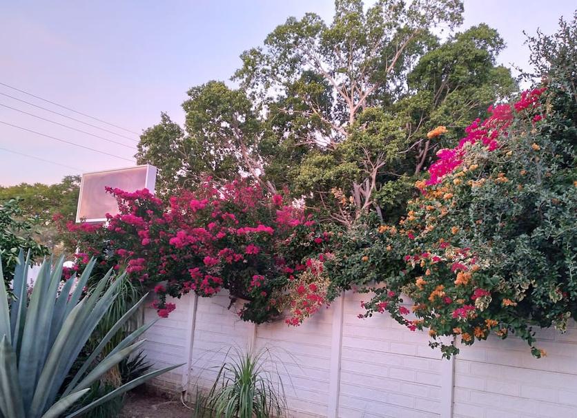 Outdoor view Photo