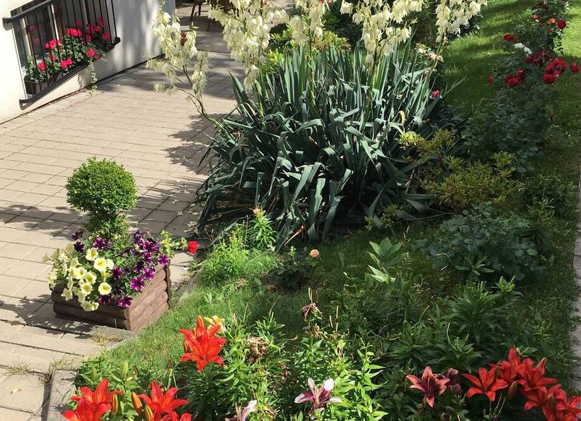 Outdoor view Photo