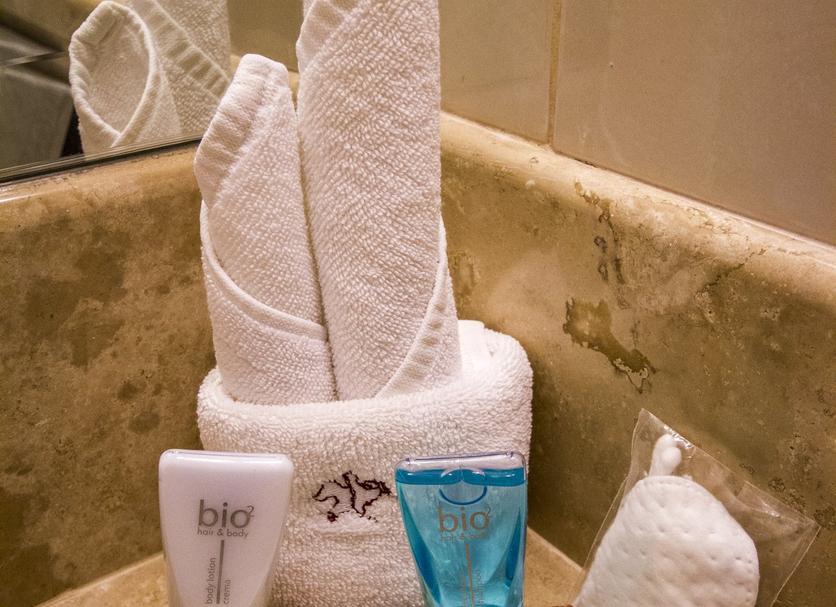 Room amenity Photo
