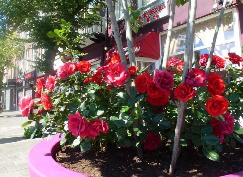 Outdoor view Photo
