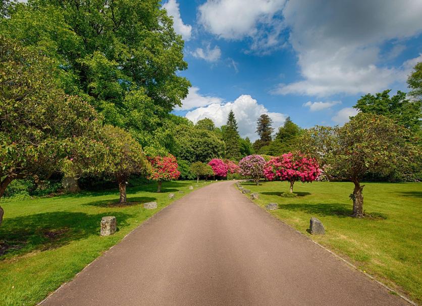 Outdoor view Photo