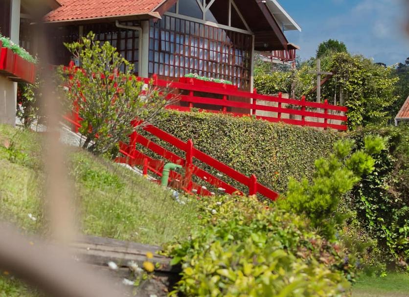 Outdoor view Photo