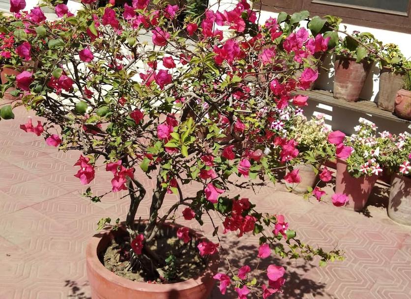 Outdoor view Photo