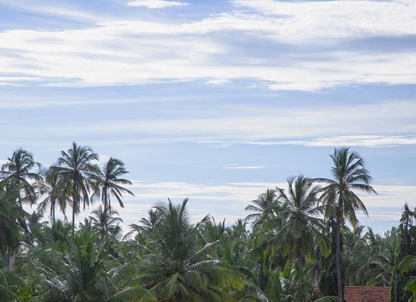 Outdoor view Photo
