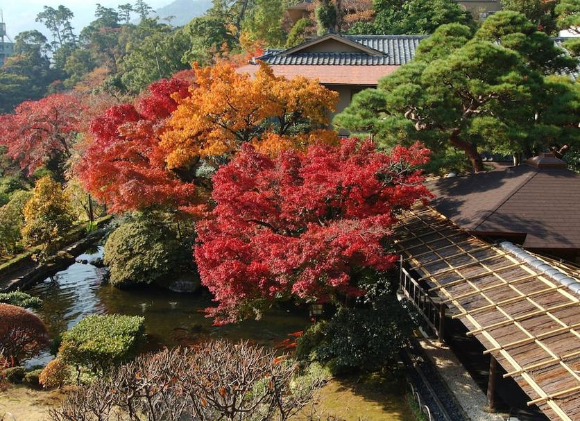 Outdoor view Photo