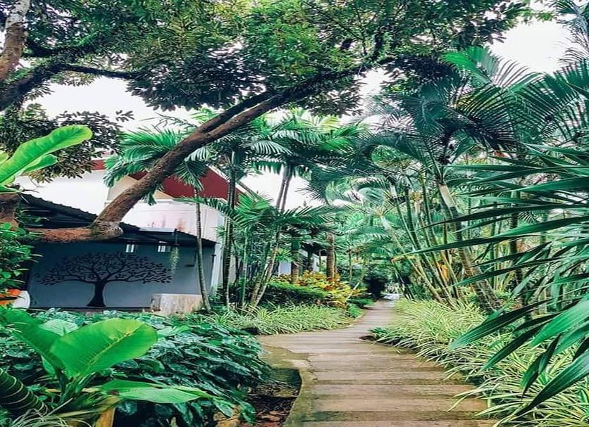 Outdoor view Photo